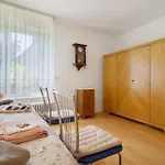Haus Gruen *